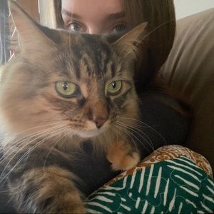 Meet your Posher, Abbey